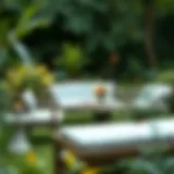 Elegant Garden Furniture in a Lush Setting Elegant garden furniture set in a lush green backyard