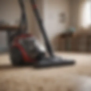 Ideal Vacuum for Pet Owners Vacuum cleaner in a pet-friendly home