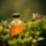 Natural ingredients for organic insect repellent