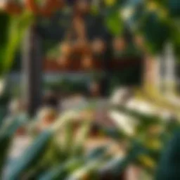 A beautifully designed outdoor living space featuring a cozy seating area surrounded by lush greenery.