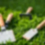 Lush green lawn with overseeding preparation tools