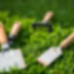 Lush green lawn with overseeding preparation tools