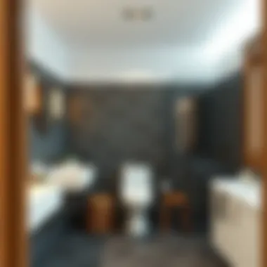 Optimizing Layout for Maximum Utility Functional layout maximizing space in a second bathroom