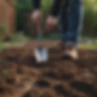 A homeowner inspecting soil with a garden trowel