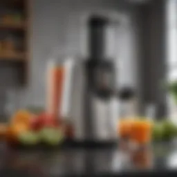 Elegant design of the Revel Juicer showcasing its sleek lines and modern aesthetic.