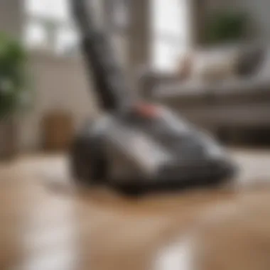 Different vacuum types suitable for pet owners