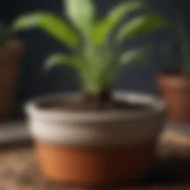 Features of Well-Draining Soil Well-draining soil in a plant pot
