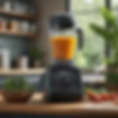 Maintenance tips for Vitamix devices