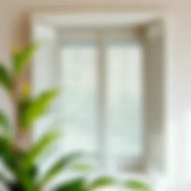 Modern material choices for picture window shutters