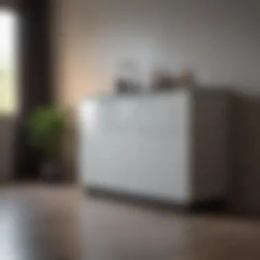 Sleek Minimalist Standalone Cabinet Contemporary standalone cabinet showcasing minimalist style and functionality