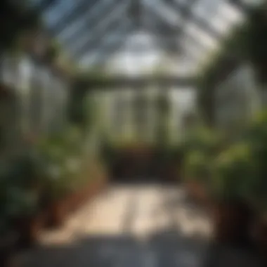 Strategic layout of a greenhouse in a garden setting