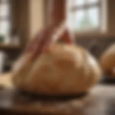 Kneading Dough in a Quality Maker Close-up of dough being kneaded in a high-quality dough maker