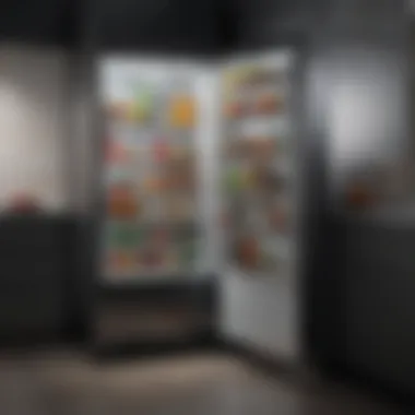 Premium refrigerator design showcasing sleek lines and modern aesthetics