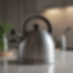 Elegant steel kettle showcasing its polished finish