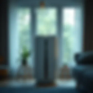 Eliminating Indoor Pollutants Air purifier effectively removing indoor pollutants