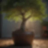 A vibrant young tree thriving in a large pot showcasing robust root development.