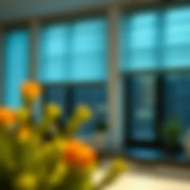 Variety of Kitchen Blinds Different types of kitchen blinds