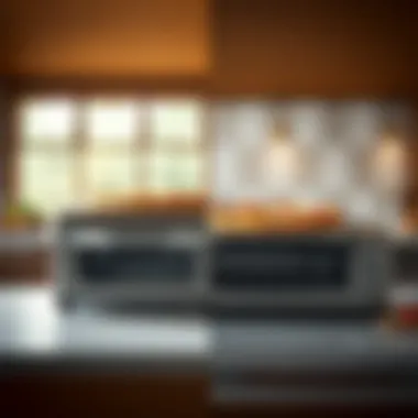 Side-by-side comparison of toaster ovens and pizza ovens, highlighting their distinct features.