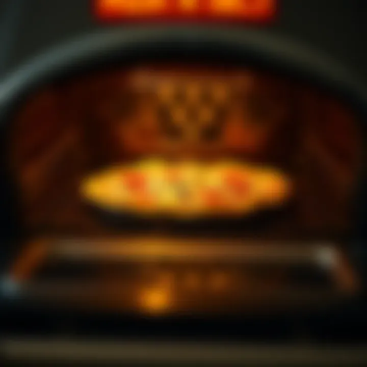 An inviting pizza oven featuring a perfectly baked pizza, emphasizing its culinary capabilities.
