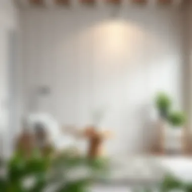 Maintenance tips for white painted wood surfaces