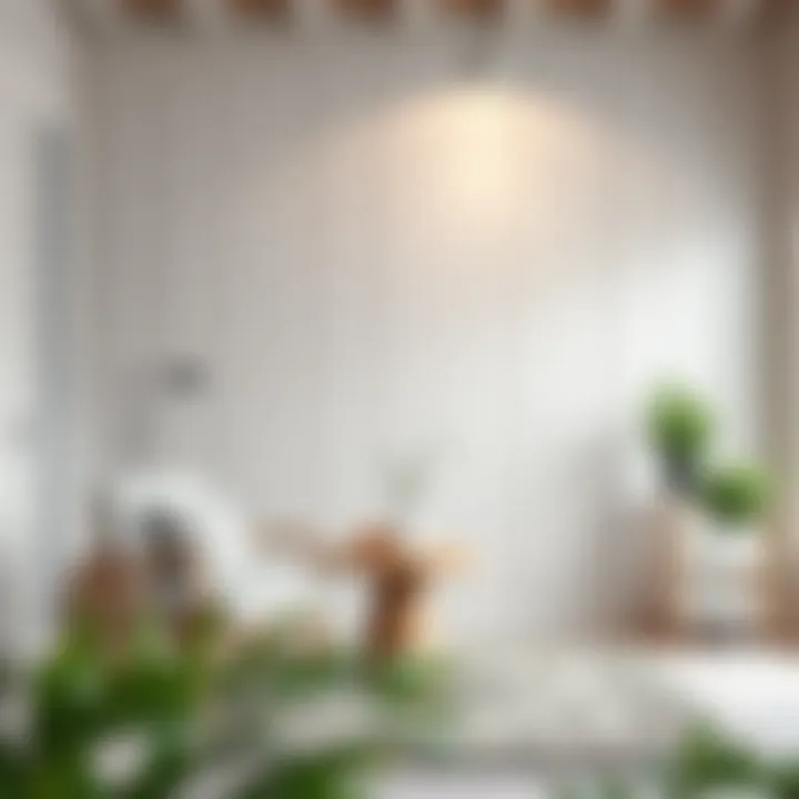 Maintenance tips for white painted wood surfaces