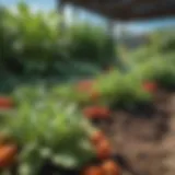A vibrant garden showcasing various vegetables at different growth stages under a clear blue sky.