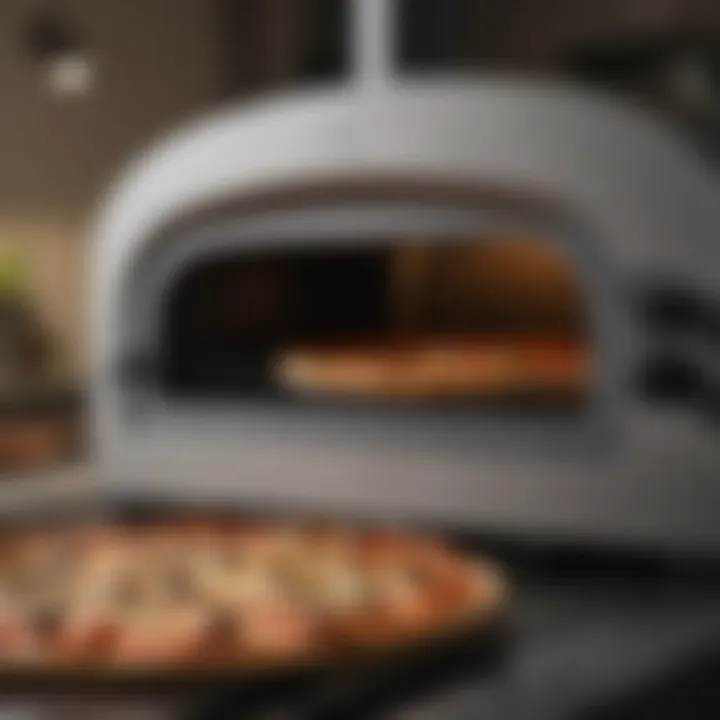 A versatile electric pizza oven featuring multiple cooking options