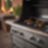 Stainless steel gas grill showcasing modern design