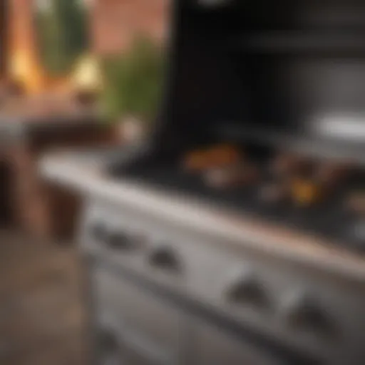 Stainless steel gas grill showcasing modern design