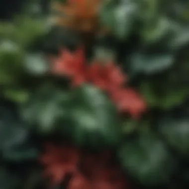 Diversity of Tropical Foliage Vibrant tropical leaves showcasing diverse colors and patterns.