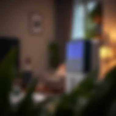 Using a Dehumidifier for Air Quality Dehumidifier in a living space