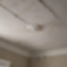 Close-up of water-damaged ceiling with peeling paint