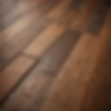 A close-up of various hardwood samples showcasing different grains and finishes