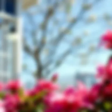 Understanding the Sunlight Needs of Azaleas Summary