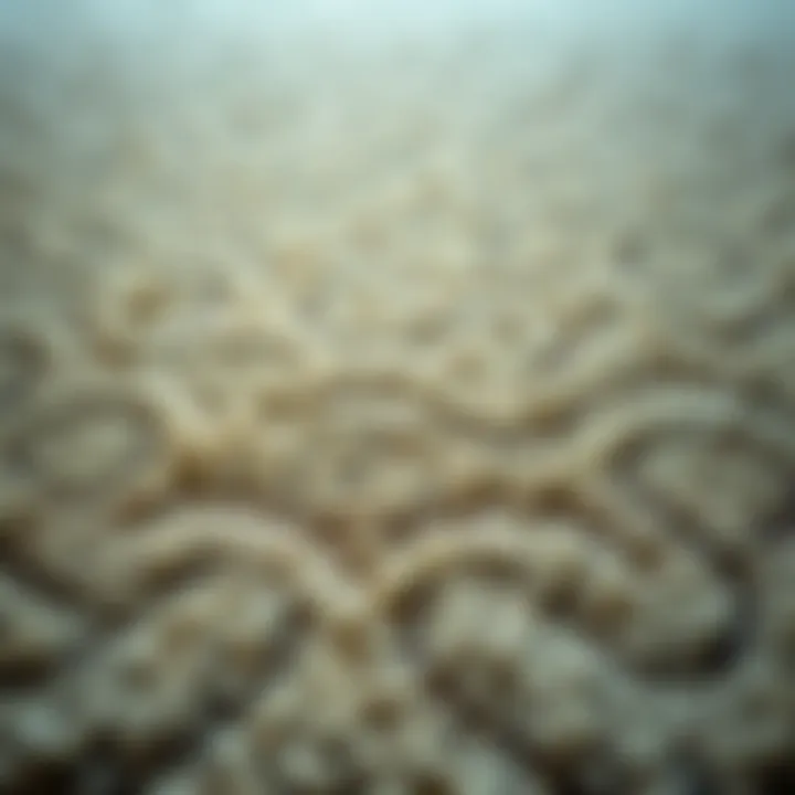 Intricate Textures of Wool Carpets Luxurious wool carpet showcasing intricate textures