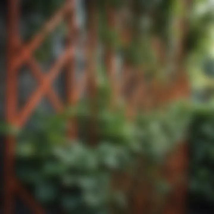 Close-up of vibrant plants climbing a lattice trellis.