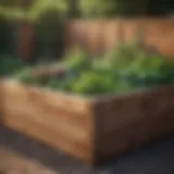 Constructed raised garden bed with wooden sides