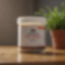 Boric acid in a container for pest control