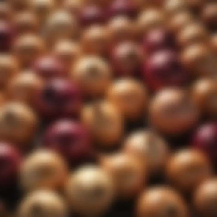 An assortment of onion varieties available for purchase