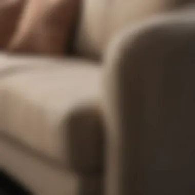 Diverse Fabric Selections for Customizable Sofa Covers A variety of fabric options for zip-off sofa covers displayed neatly